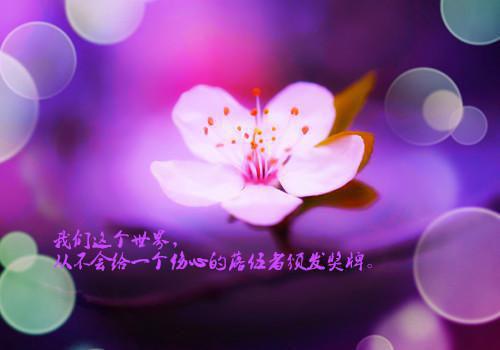 小桥流水写的小说绝世小神医苏北辰最新阅读