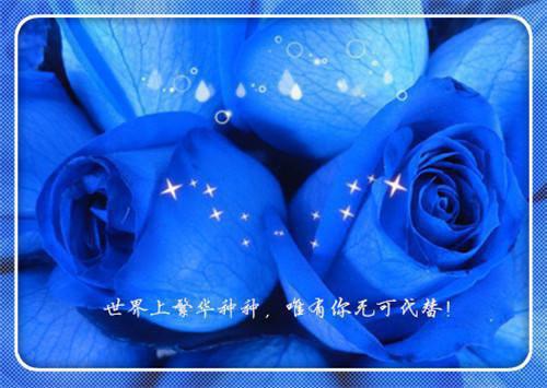小说签下和离书后她便人间蒸发了江瑟瑟夜无烟完结版全文免费阅读
