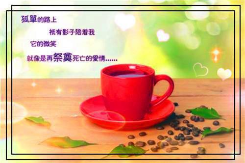 超品仙婿顾南精彩小说(三滴泪)全章节阅读