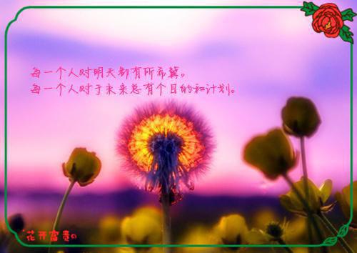 替嫁后，残疾大佬哭着求我别离婚免费小说十七全文阅读