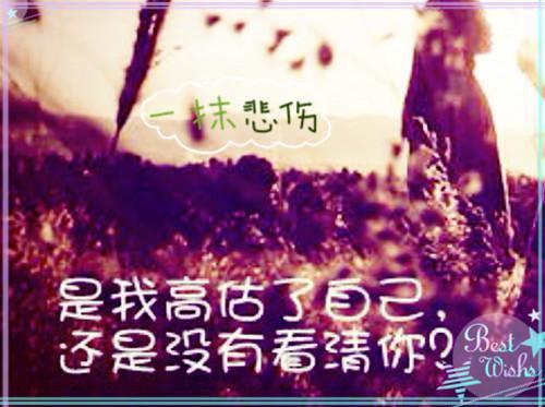 风月苏他 风月小说全文免费阅读