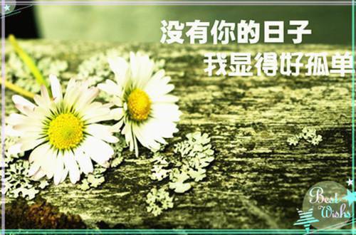 直播鉴宝我是相声大师顾风最新章节精彩试读