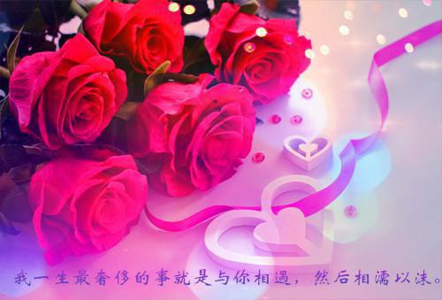 说出口的爱收不回来小说 穆嫣陆季泓秦若雨完整版阅读