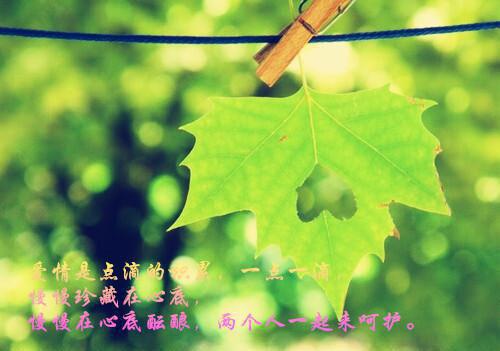大佬你的夫人撩炸天了小说宋然宋景骁全文阅读