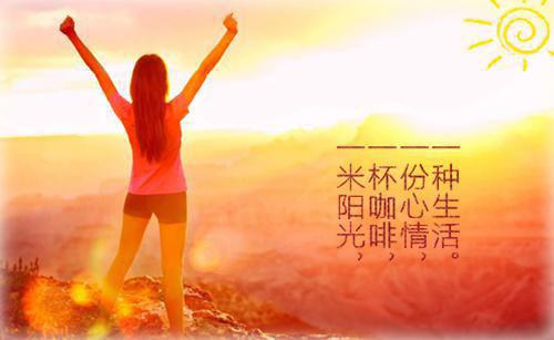 拒爱总裁乔巧贺少宸 拒爱总裁免费阅读