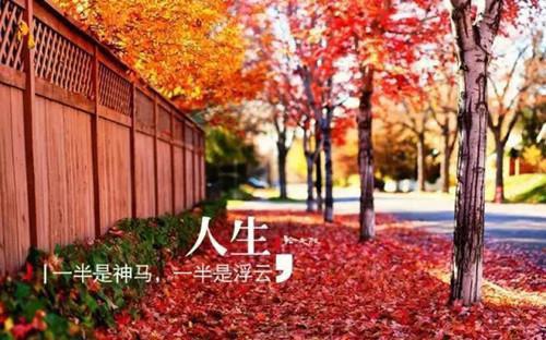 吸血鬼日记经典台词