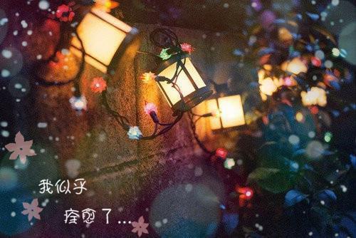 林若汐钰琰小说 林若汐钰琰免费阅读