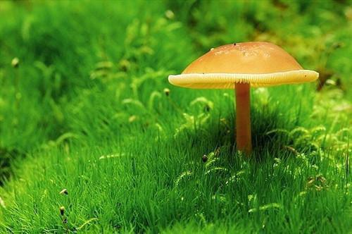 强势回归的小说《妈咪手撕白莲花简冉顾霆爵》在线阅读