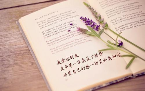 豆腐广告语