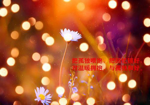 重生毒妃偏执王爷宠入骨云筝在线阅读-重生毒妃偏执王爷宠入骨全文免费阅读