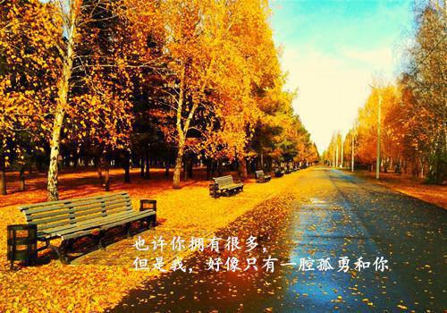 小妻乖乖让我宠宫漓歌容宴 小妻乖乖让我宠宫漓歌全文免费阅读