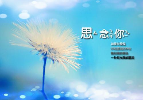 我不该放开你by惜月在线阅读