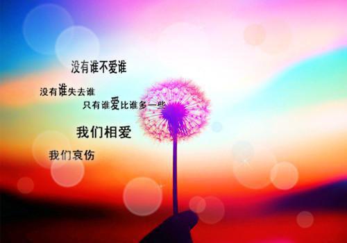 小学班主任的期末评语（精选50句)