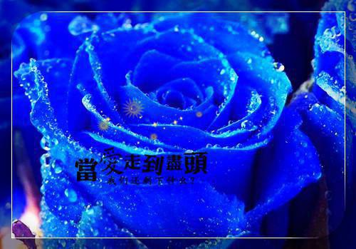 幽默的励志语句