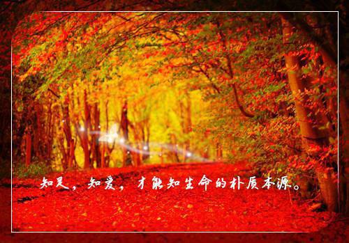 黎明前停止心动：结局+番外(沈念傅承川)全文沈念傅承川读无弹窗结局_沈念傅承川读结局章节列表（黎明前停止心动：结局+番外）