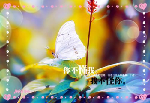 放牛班的春天观后感作文400字