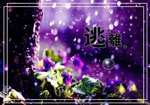 神眼医仙小妖全本小说最新阅读
