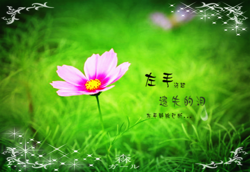 肥妻逆袭花昭叶深小说全集免费试读