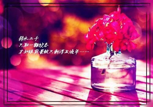 新教师代表发言稿