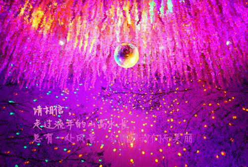 完结版小说王妃混出头了吗全文免费阅读