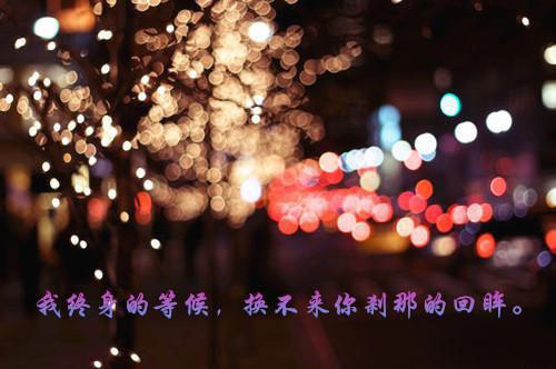 花都狼王陆无邪小说 花都狼王by玖月全本阅读