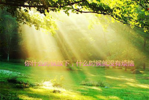 一棵小桃树读后感