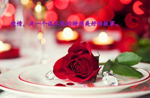 家乡的桥作文200字