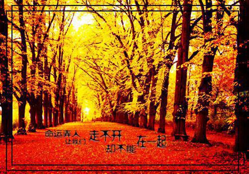 关于遇见的唯美句子