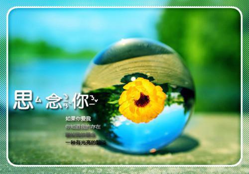 盛世婚宠：影后飒又狠苏念霍慎行小说最新章节免费阅读