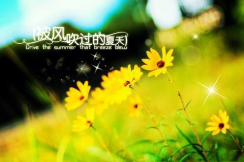 神医琅琊神医小说宋子叶韵无弹窗阅读