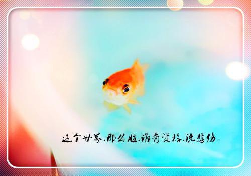 炎龙狂少叶昊司徒月 炎龙狂少小说免费阅读