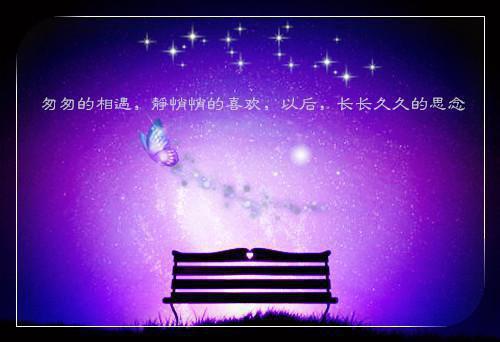 主角为苏洛梨商穆寒的小说全文新婚夜偏执王爷快哄我免费阅读