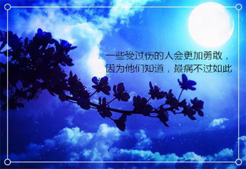 杀手之王李天免费阅读 杀手之王李天沈雪小说