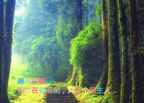 (全章节)龙帅江寒天-龙帅江寒天轩辕疯狂在线阅读