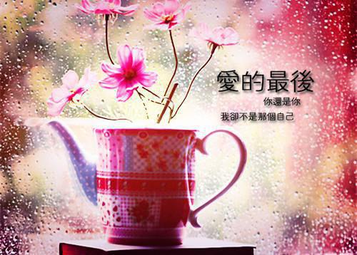 乔昕沫周琛炀小说 周琛炀乔昕沫免费阅读