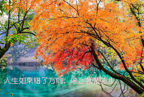 小说隐婚老公是影帝付韵韩慕言章节列表阅读