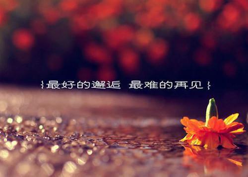 最强战神奶爸林峰姜心月 最强战神奶爸吃了个瓜全文阅读