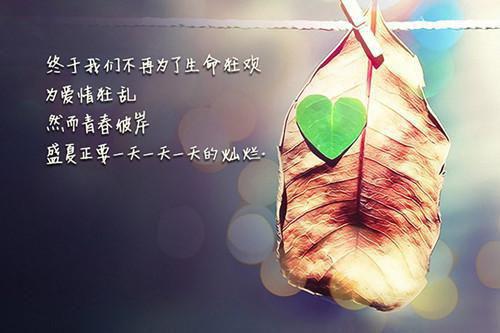 我和我的老师作文