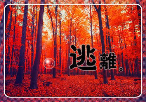 我读懂了