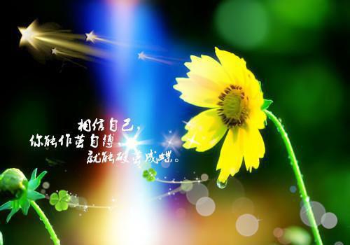 最新小说杀神免费阅读