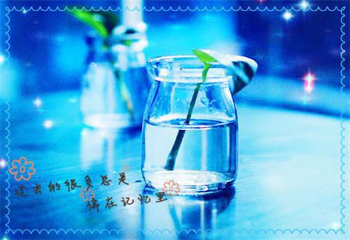 陛下他又脸红了全本小说（陛下他又脸红了）全文阅读