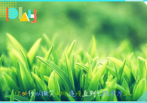比喻朋友的比喻句