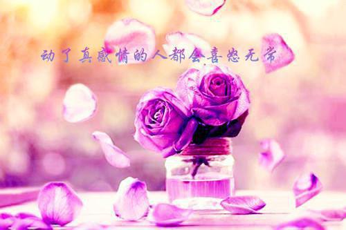 时津津江奕琛(现代文)小说作者行素精彩阅读