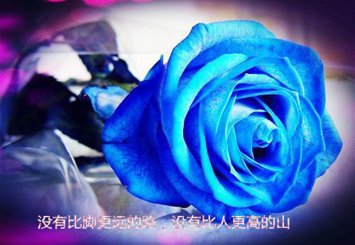 苏宁宁齐梁小说 苏宁宁齐梁空间农场猎户的小娇妻免费阅读