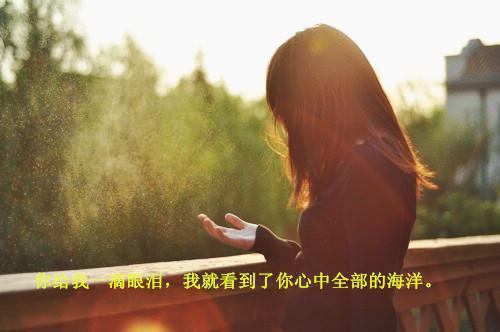 全本小说愿你日日皆欢喜陆言欢周鹤凛姜颜衾全文免费阅读