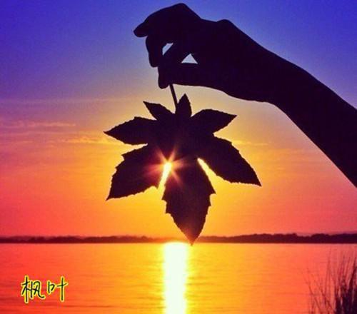 掐表大师小说(踏度)主角许美卿无广告阅读