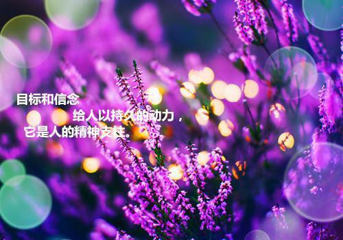 传奇高手纵横都市全本小说（传奇高手纵横都市）全文阅读