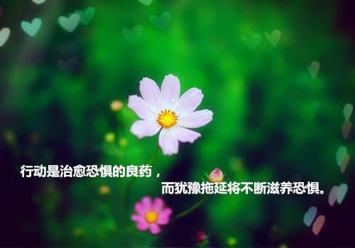 第一章你是想掐死我吗情花似毒最新小说全文阅读