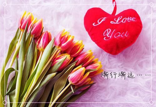 摄政王带我去查案苏陶陶小说 摄政王带我去查案苍云寂阅读