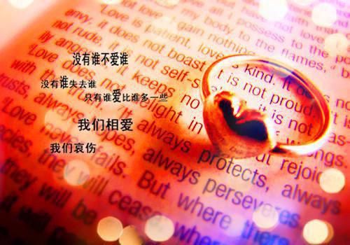 嗜血战王叶天宋晴雯小说 复仇西贝作品全本阅读